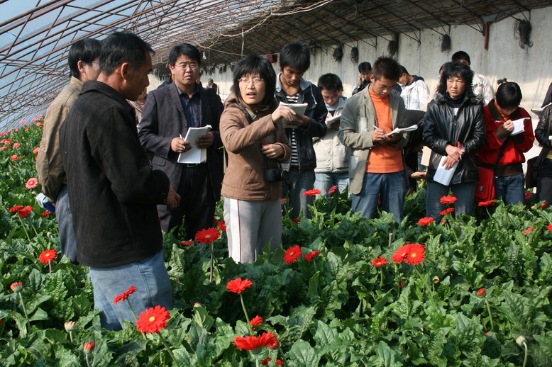 花卉专业学员实习